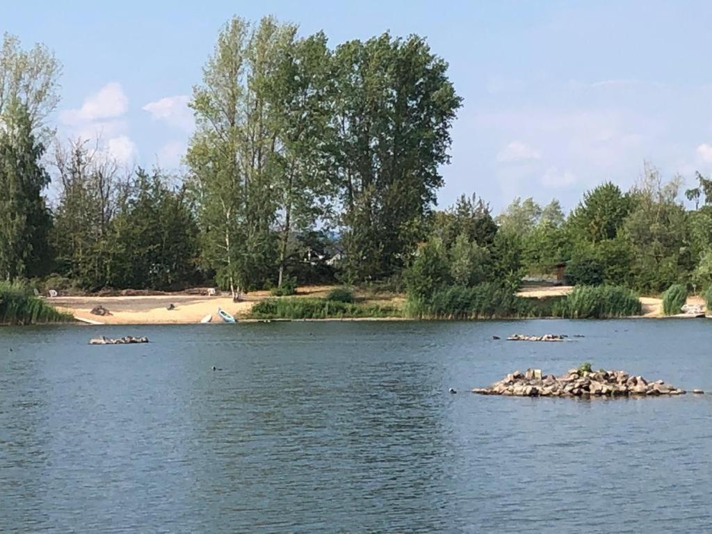 Вілла Wohnen-Auf-Zeit-Am-See Grossostheim Екстер'єр фото