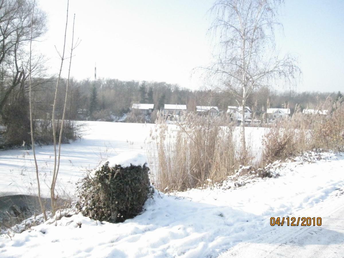 Вілла Wohnen-Auf-Zeit-Am-See Grossostheim Екстер'єр фото