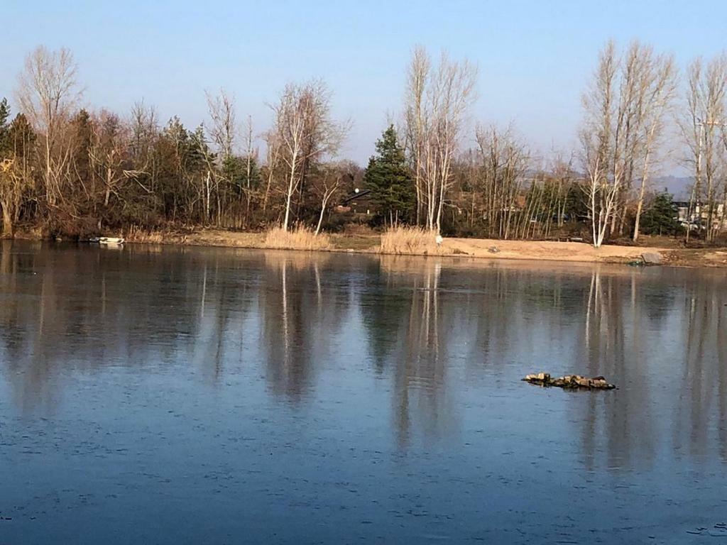 Вілла Wohnen-Auf-Zeit-Am-See Grossostheim Екстер'єр фото